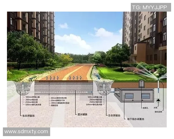 上海排球队的阵地战解析：战术布局与团队协作的深度探讨