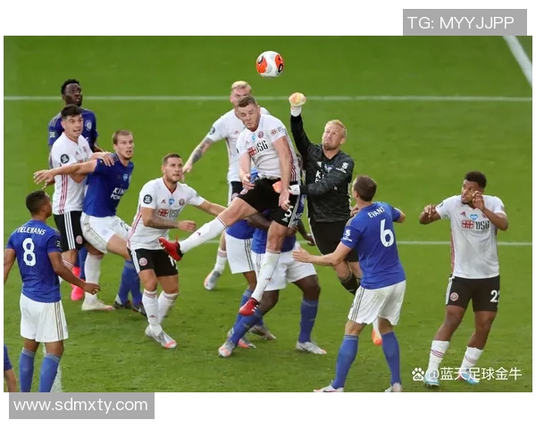 奥勒松足球的崛起与挑战探索挪威足球文化的独特魅力与发展历程